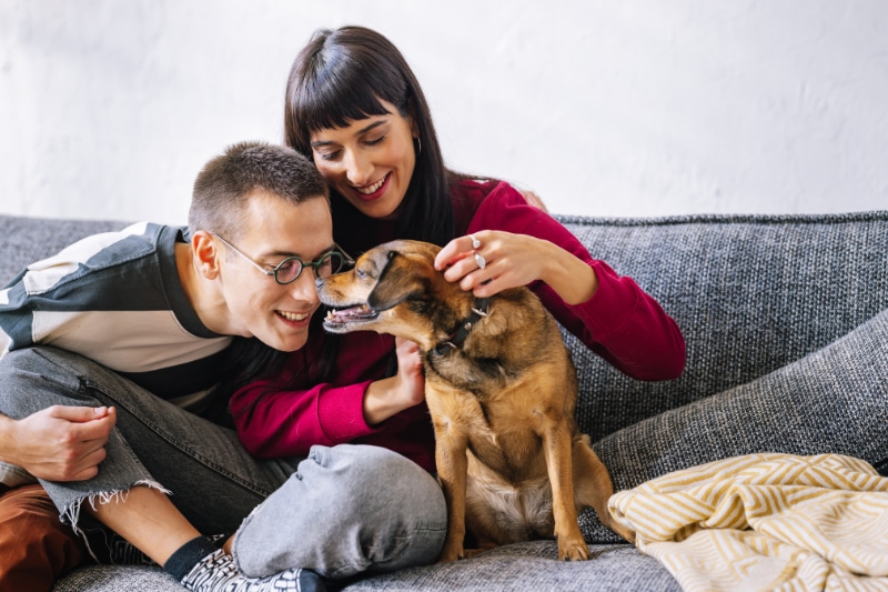Couple enjoying time with their dog on couch to represent different types of furnaces.